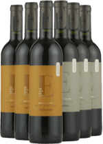 Argentina Smagekasse - TOP fra vinhuset Las Perdices - 6 Flasker - Slagelse Vinkompagni