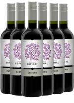 CASTAÑO DOMINIO ESPINAL MONASTRELL – YECLA – KASSEKØB 6 FLASKER - Slagelse Vinkompagni