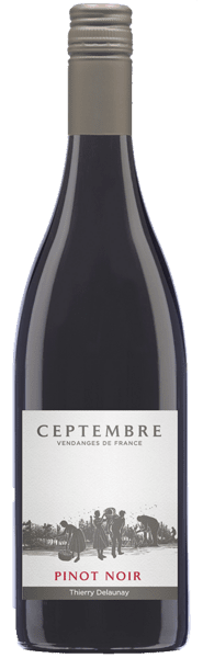 PINOT NOIR - CEPTEMBRE Loire IGP Tierry Delaunay - Slagelse Vinkompagni