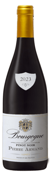 Bourgogne Pinot Noir Pierre Armand 2023 - Slagelse Vinkompagni