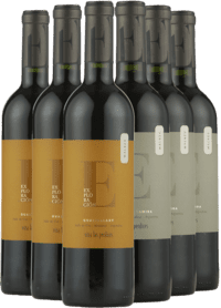 Argentina Smagekasse - TOP fra vinhuset Las Perdices - 6 Flasker - Slagelse Vinkompagni